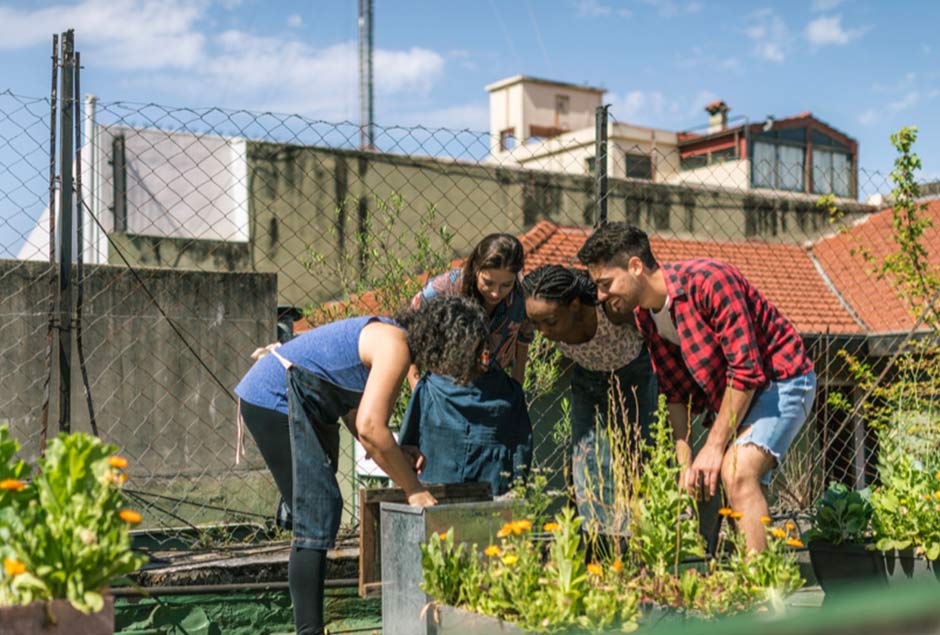 group of kids planting flowers